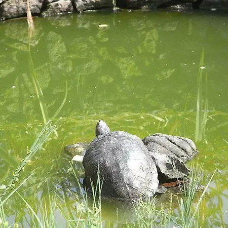 Lisetta Frühstückspension San Donà di Piave