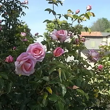 Lisetta 4* San Donà di Piave